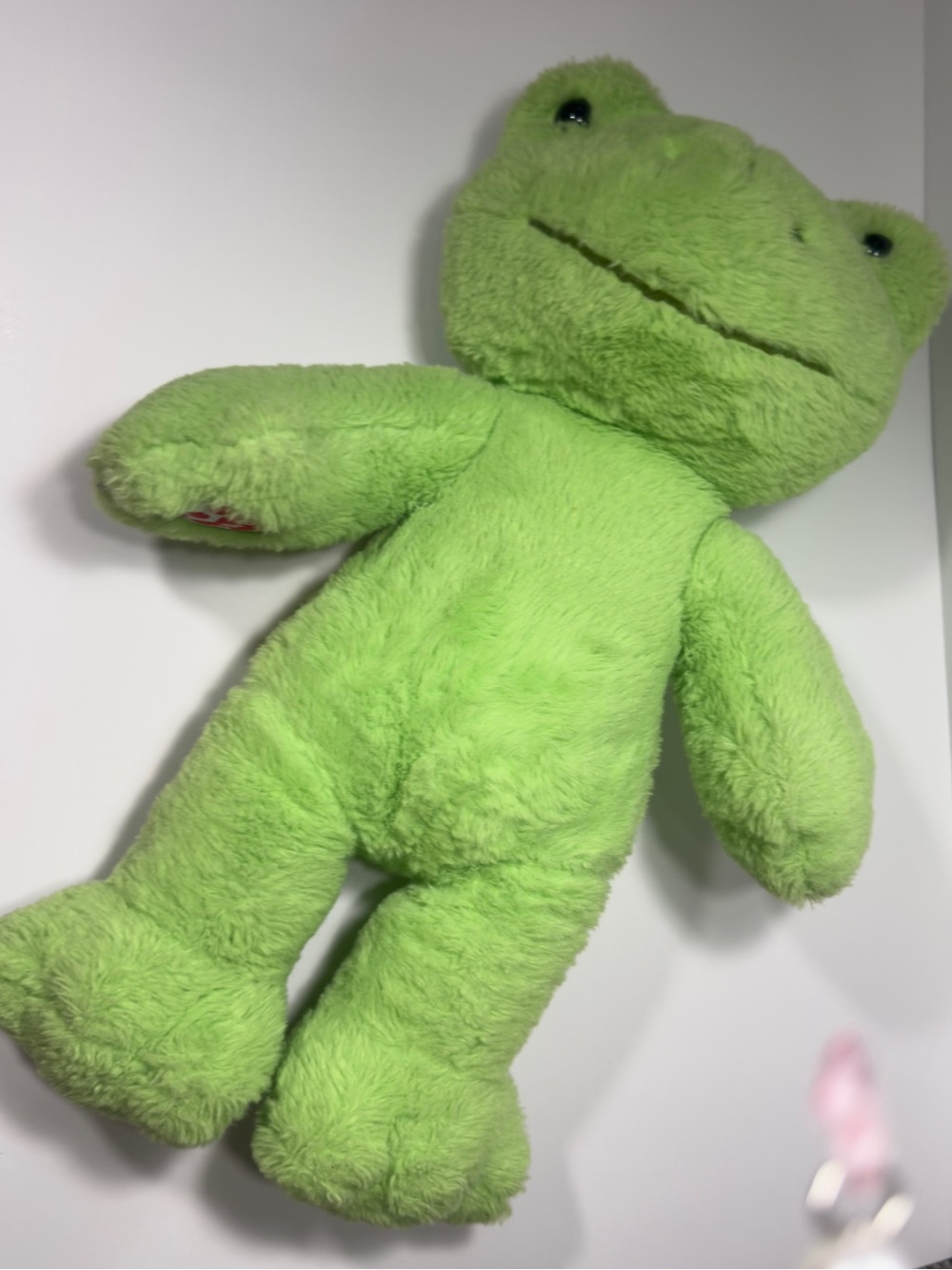 Build a bear frog